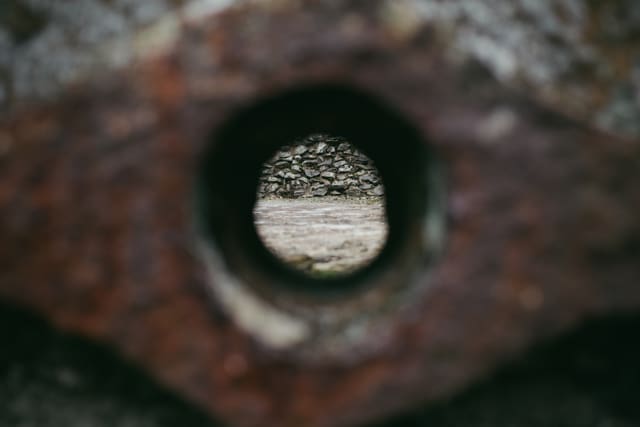 Photograph 1