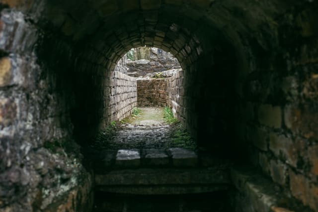 Photograph 3
