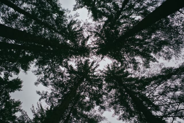 Photograph 4