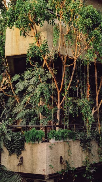 Photograph 9