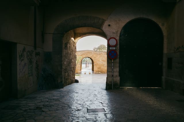 Photograph 17