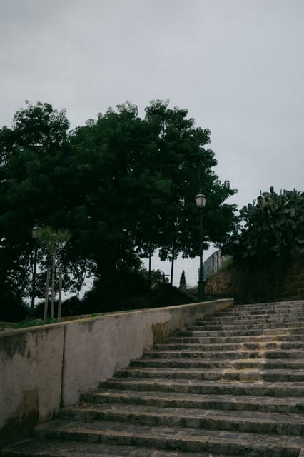 Photograph 22