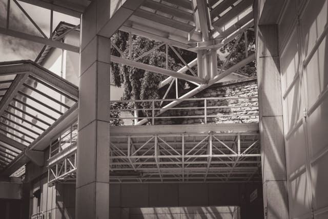 Photograph 42