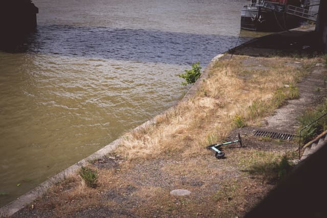 Photograph 45
