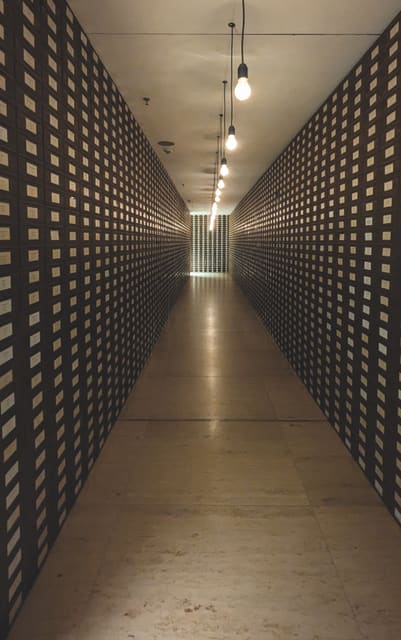 Photograph 54