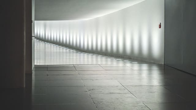Photograph 55