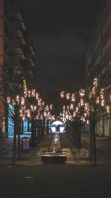 Photograph 60
