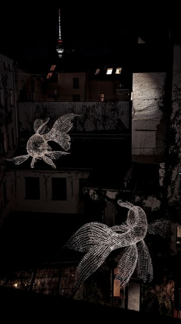 Photograph 63