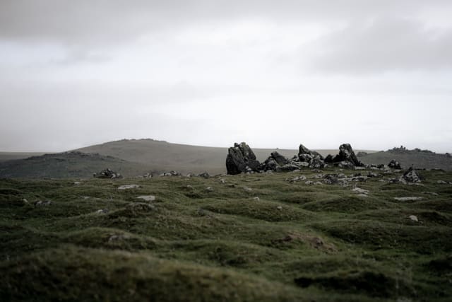Photograph 99