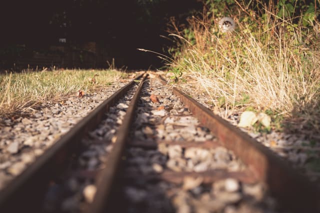 Photograph 107