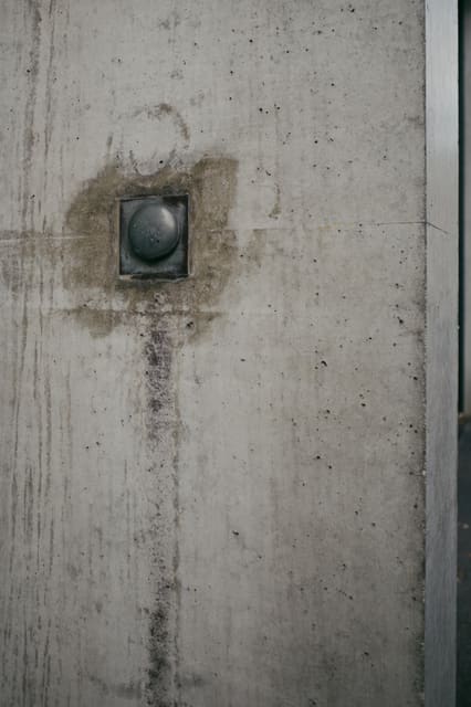 Photograph 131