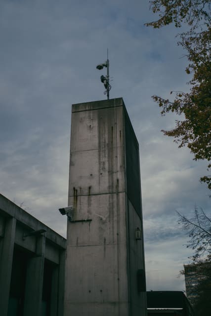 Photograph 132
