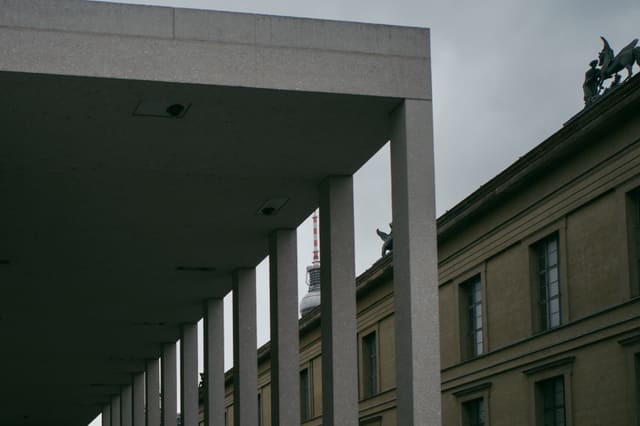 Photograph 137