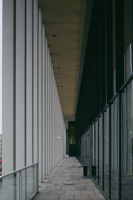 Photograph 139