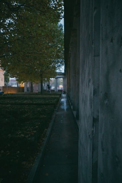 Photograph 142