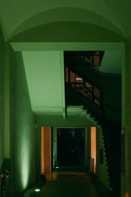 Photograph 146