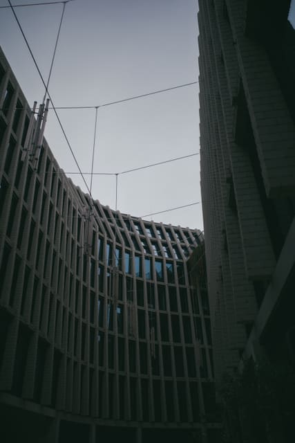 Photograph 153