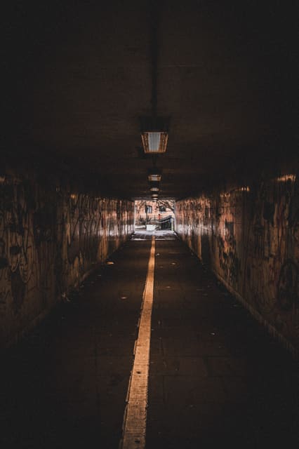 Photograph 156