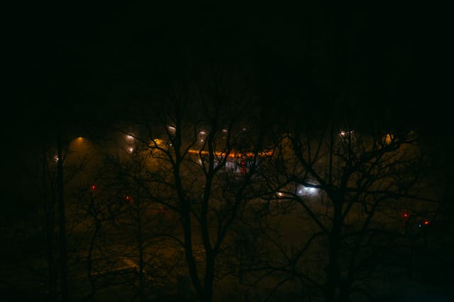 Photograph 160