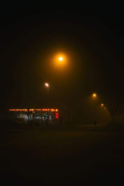 Photograph 161