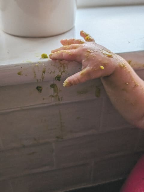 Photograph 106